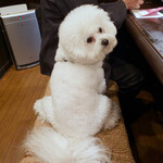 旬采 - 私達の定席 ＠カウンター