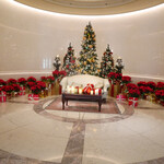 ベラ・ルーサ - 2020/11/23  ホテルザマンハッタンのロビー