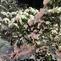 柳家 - 