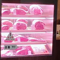 鳥取和牛専門店 大山 不二家 心斎橋本店 - 