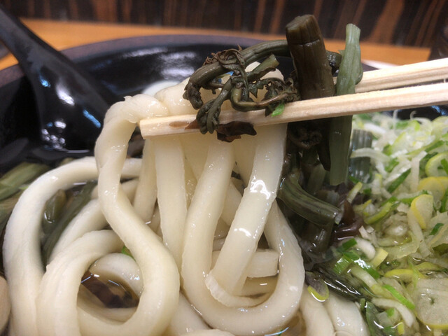 きっちょううどん 橘通店 宮崎 うどん 食べログ きっちょううどん 橘通店 宮崎 うどん 食べログ