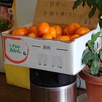 まぐちゃんラーメン - みかん ごちそうさまでした