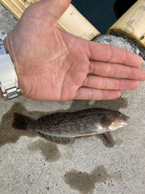 ふたば苑 陸前赤井 定食 食堂 食べログ