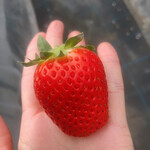 姫路ハートフル観光農園 - 