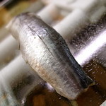 神田笹鮨 - 追加は〆たもの二つ 先に鰯が出てきてその脂の強さにビックリ これだけ塩してこの脂はすごいですね～ と親方と話してたところ