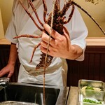 味あら井 - 伊勢海老