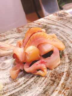 Sushi Tatsu - 赤貝のヒモ