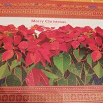 水信フルーツパーラー - そういやクリスマスシーズンでしたね