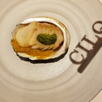 CILQ - 