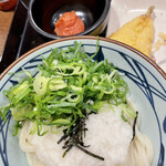 Marugame Seimen - 