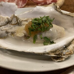 PASTAVOLA - 