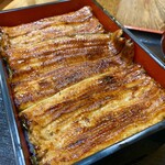 Unagi Hamana - 