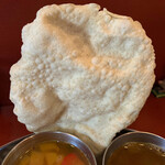 南インド料理 なんどり - 