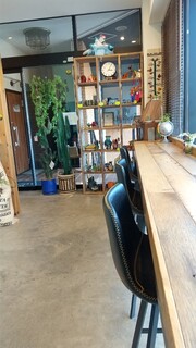 CR.CACTUS CAFE&ACCESSORY