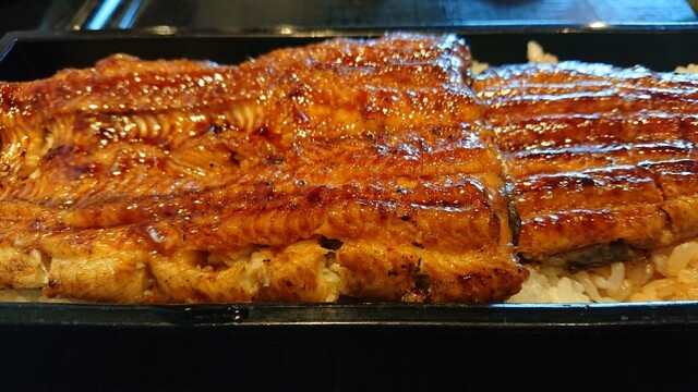 うなぎや 東武宇都宮 うなぎ 食べログ