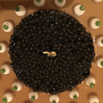 ガストロノミー ジョエル・ロブション - 