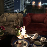 トゥールダルジャン - 