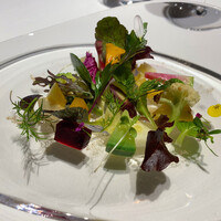 レフェルヴェソンス - 