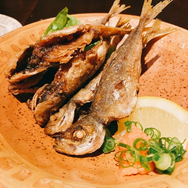 楽市楽座 らくいちらくざ 二宮 居酒屋 食べログ 楽市楽座 らくいちらくざ 二宮 居酒屋 食べログ