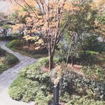 キャトルラパン - 