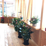 ラ・ペッシュ - 