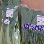 元気くん市場 - ほうれん草(志波姫)93円、河北菜(瀬峰産)60円