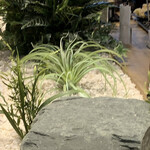 山下本気うどん - 