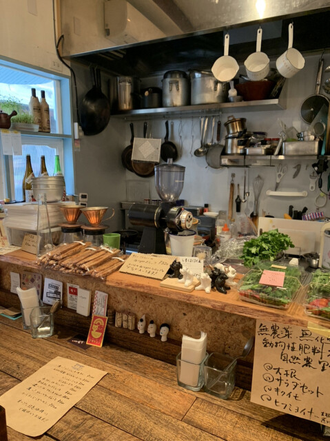 Ginger Monokoto photo 4