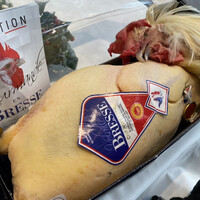 アーティショー - 