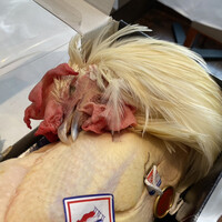 アーティショー - 