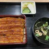 うなぎ 目白ぞろ芽 - 