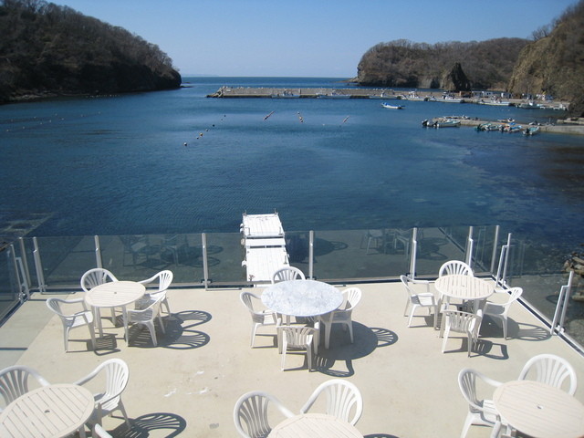 レストラン HAMMER HEAD（ハンマーヘッド） - 蘭島（パスタ）の写真