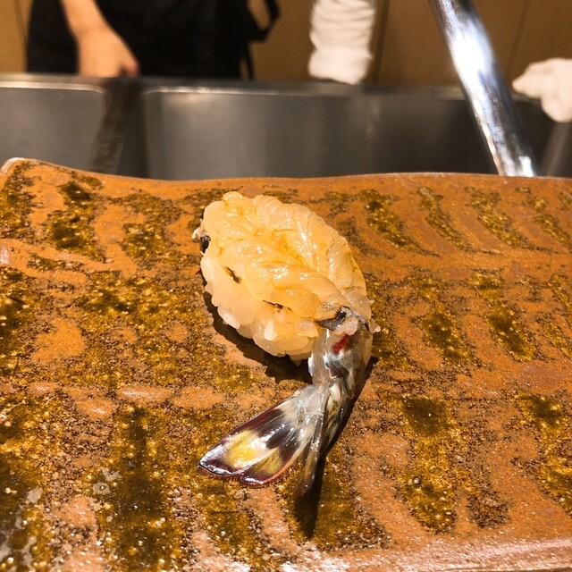 すし かねこ 京都市役所前 寿司 食べログ