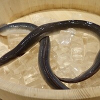 三宅輝 - 