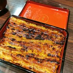 うなぎ 魚政 - 鰻重特上　坂東太郎