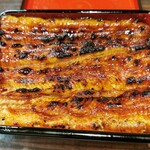 うなぎ 魚政 - 鰻重特上　坂東太郎