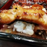 うなぎ 魚政 - 鰻重特上　坂東太郎