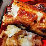 うなぎ 魚政 - 特上鰻重