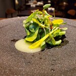 イル ネッビオ - 