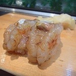 鮨の魚政 - 海老