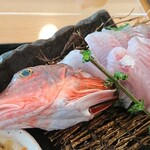 海鮮・寿司 舞 - 四角い頭