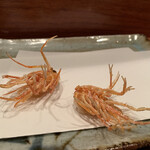 天冨良 よこ田 - 