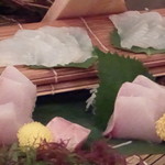 朝菜夕魚 - トロ箱その２