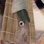 朝菜夕魚 - 新鮮そのもの透明イカ