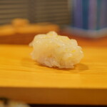 こい勢 - 槍烏賊