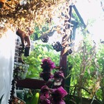 カフェぽぷり - 