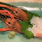 Shimbashi Kazu - 深海のテナガエビとも言われる希少な『アカザエビ』をお造りで。