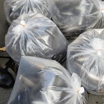 うなぎ 桜家 - 開店前にはお店の裏手で、輸送されてきた鰻をウナギ桶（胴）に移しかえていました。