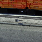 ラーメン二郎 - ニンニク食べますか？