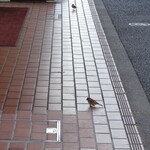 ラーメン二郎 - 君たちは？